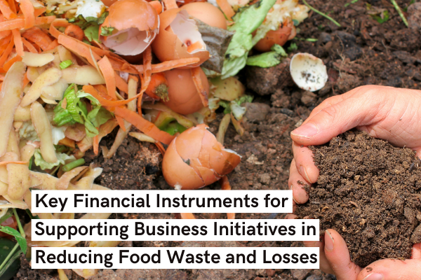 Key Financial Instruments for Supporting Business Initiatives in Reducing Food Waste and Losses