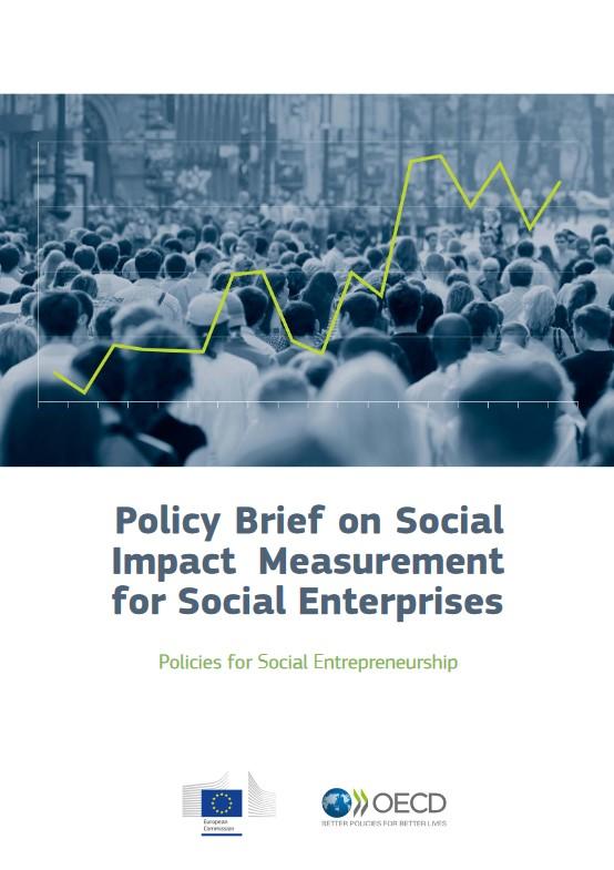 cover Policy brief social impact measurement for 2015